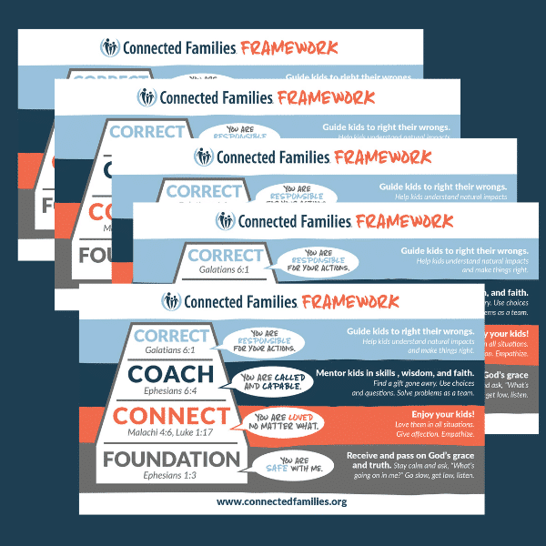 Framework Magnet - Set of Five
